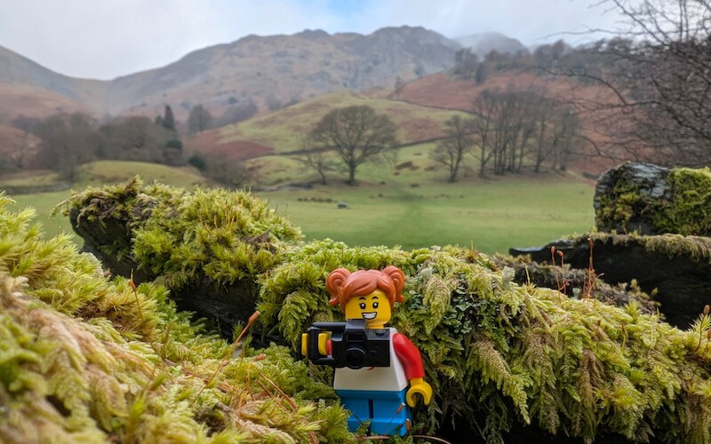 Millie Fig posing for a photo - © Copyright 2025 Peter Burlingham, Days In The Lakes