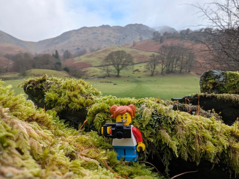 Millie Fig posing for a photo - © Copyright 2025 Peter Burlingham, Days In The Lakes