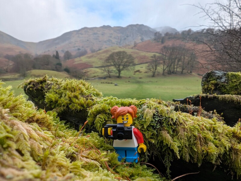 Millie Fig posing for a photo - © Copyright 2025 Peter Burlingham, Days In The Lakes