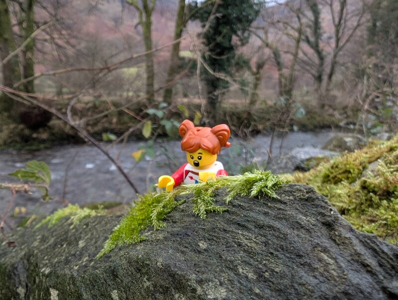 Don't fall in the river Millie Fig! - © Copyright 2025 Peter Burlingham, Days In The Lakes
