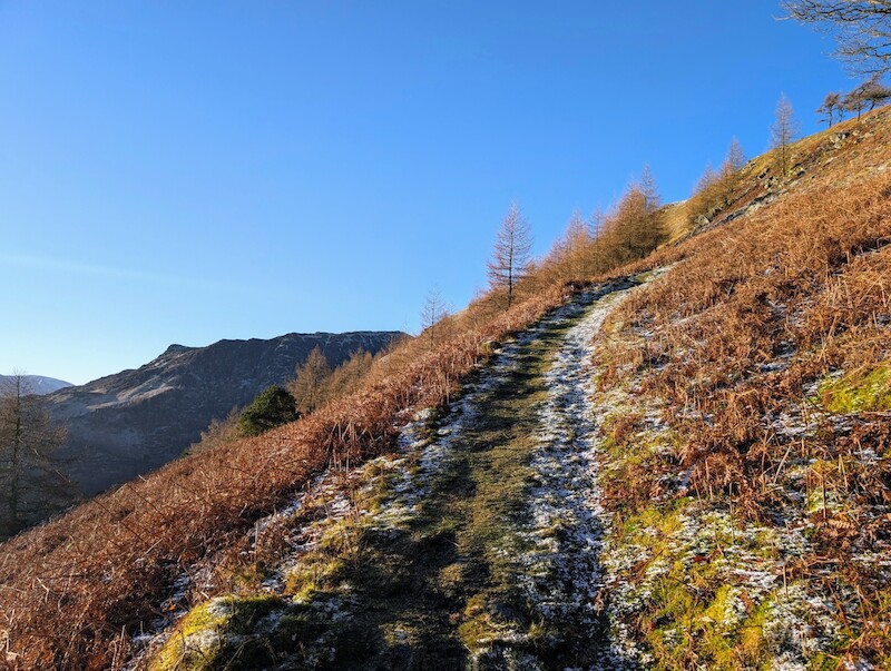 Decent, squishy path uphill along Glencoyne Park - © Copyright 2025 Peter Burlingham, Days In The Lakes