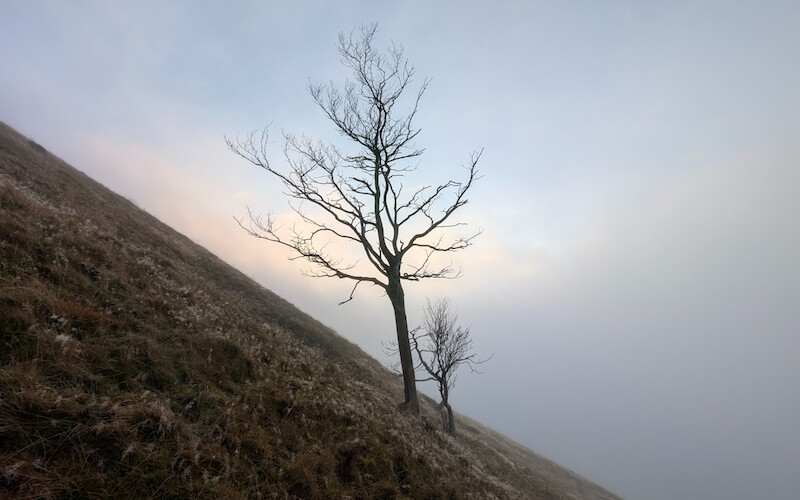 This highlights how steep the north-western route actually is - it's like this the whole way down too! - © Copyright 2025 Peter Burlingham, Days In The Lakes