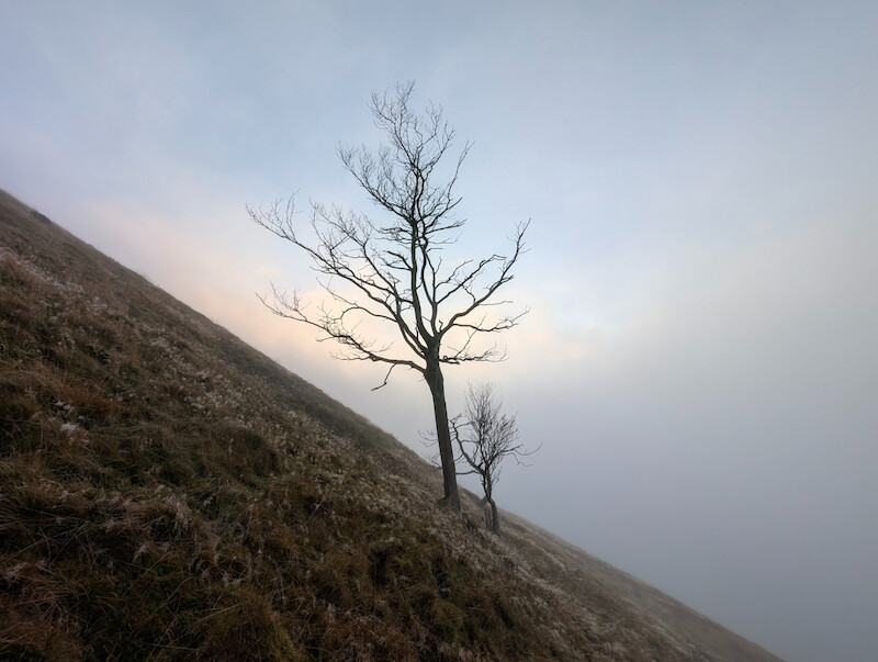 This highlights how steep the north-western route actually is - it's like this the whole way down too! - © Copyright 2025 Peter Burlingham, Days In The Lakes
