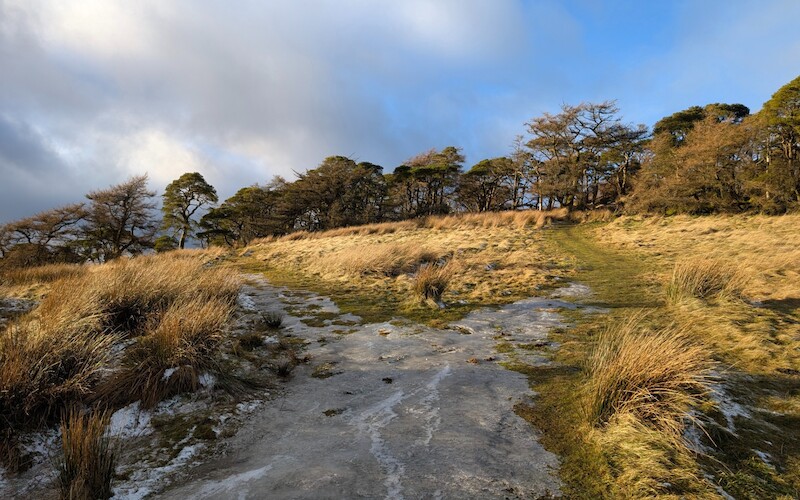 The first "choose your own adventure" fork in the path - both lead to the summit - © Copyright 2025 Peter Burlingham, Days In The Lakes