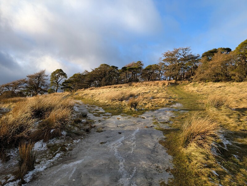 The first "choose your own adventure" fork in the path - both lead to the summit - © Copyright 2025 Peter Burlingham, Days In The Lakes