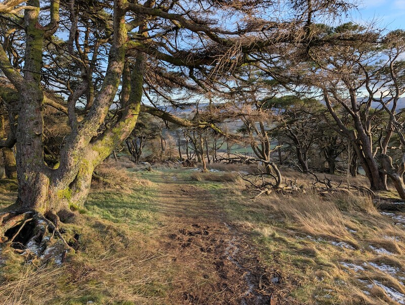 The left-hand path on the descent - © Copyright 2025 Peter Burlingham, Days In The Lakes