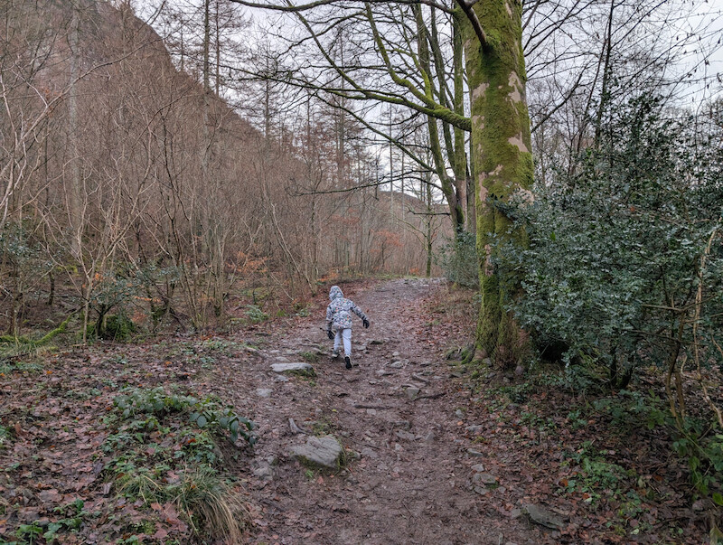 James running off ahead from the car park - © Copyright 2025 Peter Burlingham, Days In The Lakes