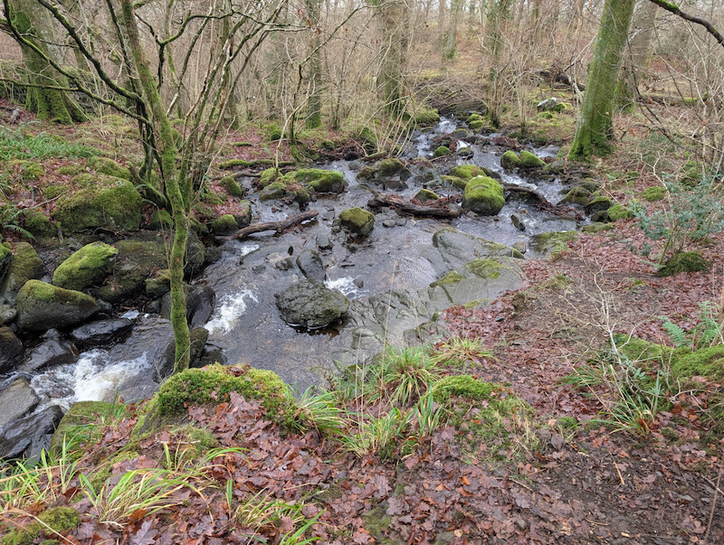 Cat Gill - © Copyright 2025 Peter Burlingham, Days In The Lakes