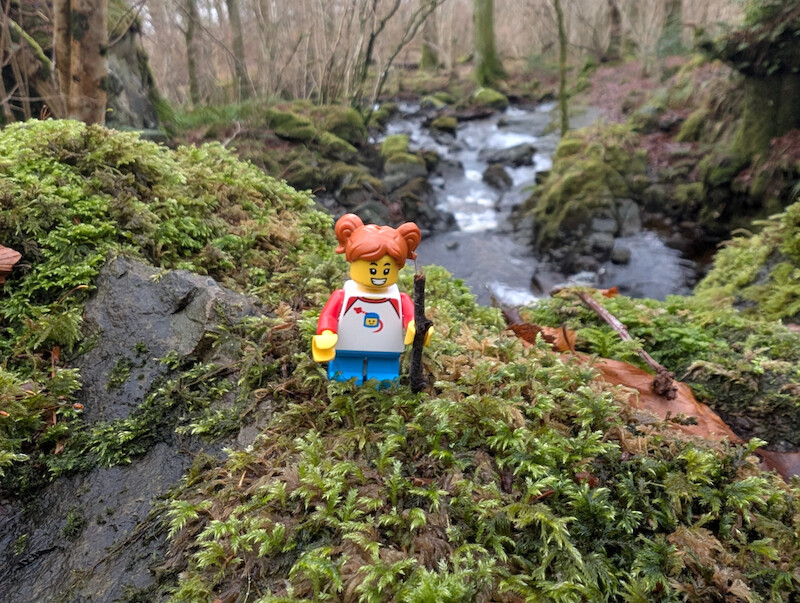 We found a walking stick for Millie Fig - © Copyright 2025 Peter Burlingham, Days In The Lakes
