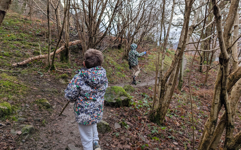 By this point everyone had a walking stick to keep them entertained! - © Copyright 2025 Peter Burlingham, Days In The Lakes