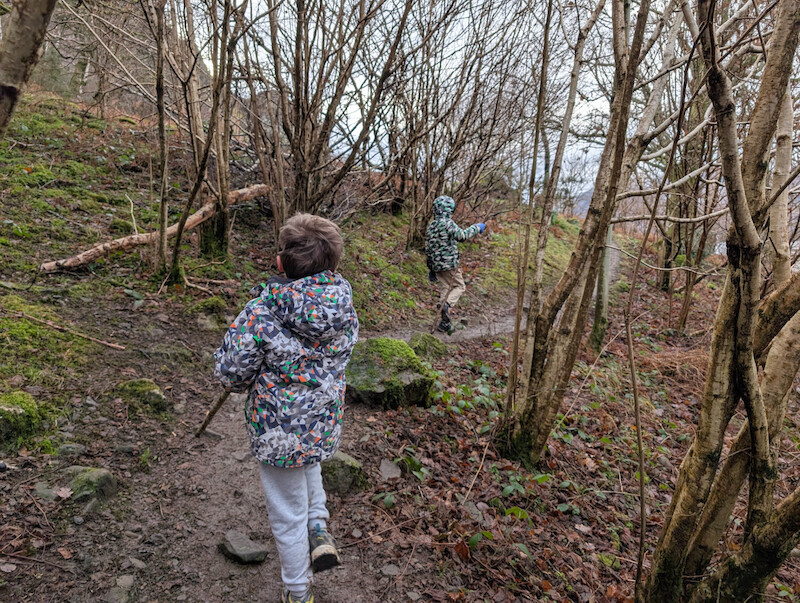 By this point everyone had a walking stick to keep them entertained! - © Copyright 2025 Peter Burlingham, Days In The Lakes