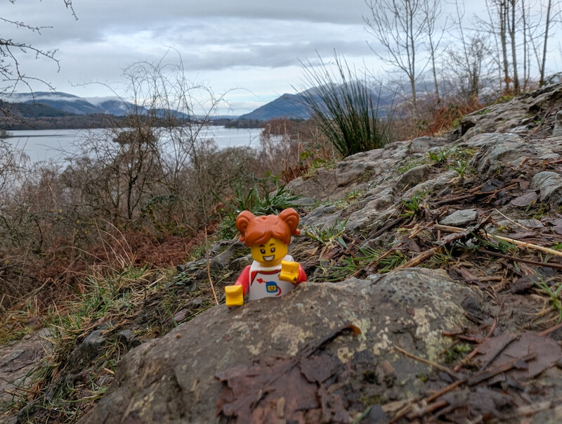 Millie Fig climbing again - © Copyright 2025 Peter Burlingham, Days In The Lakes