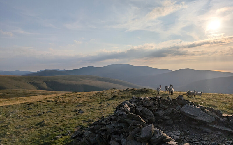 The shelter of stones at Bowscale Fell with views towards Skddaw and the sea to the right - © Copyright 2025 Peter Burlingham, Days In The Lakes