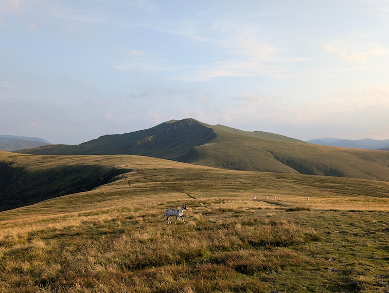 A clearer view towards Blencathra - an approach I'll do one day as it's not the tourist-y way up - © Copyright 2025 Peter Burlingham, Days In The Lakes